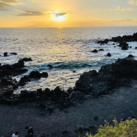 Alta Mar En Oasis Tenerife Sur Apartamento *